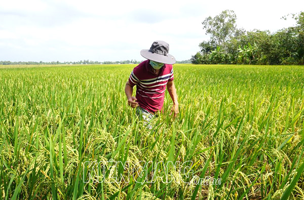 Năm 2023 hoàn thành việc trình Quốc hội thông qua dự án Luật Đất đai (sửa đổi)